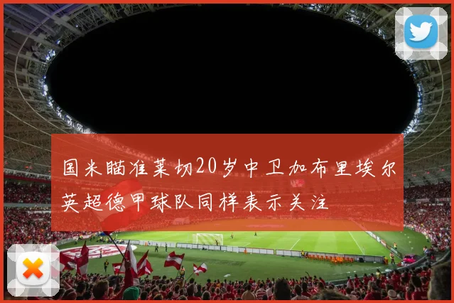 国米瞄准莱切20岁中卫加布里埃尔英超德甲球队同样表示关注