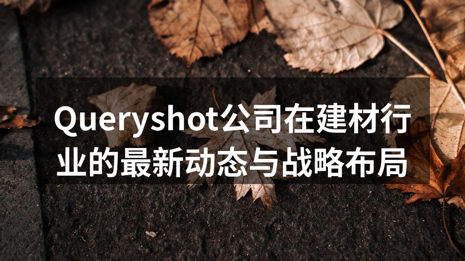 Queryshot公司在建材行业的最新动态与战略布局